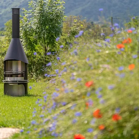 Kokoni K-banes Posees *