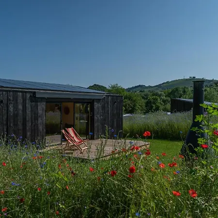 Kokoni K-banes Posees Arette