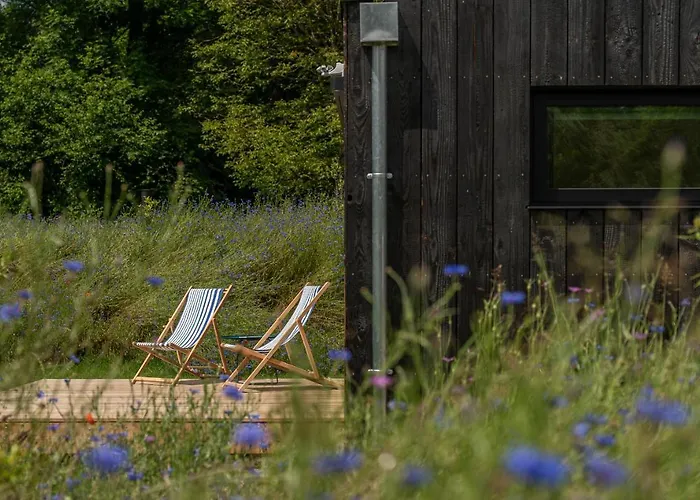 Kokoni K-banes Posees أريت