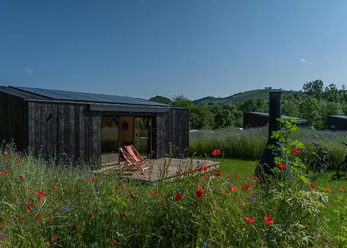 Kokoni K-banes Posees أريت