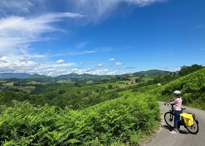 Kokoni K-banes Posees * ארט