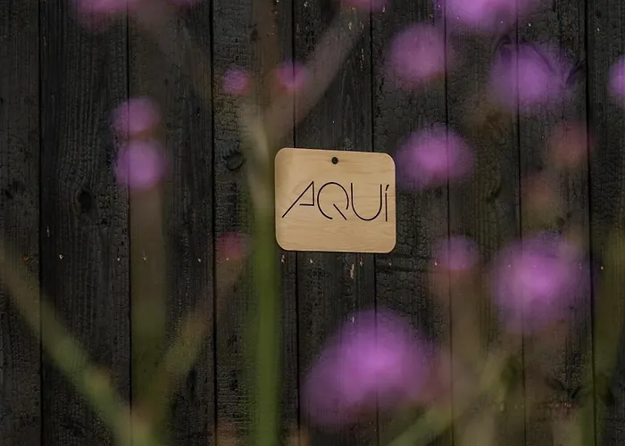 Kokoni K-banes Posees ארט