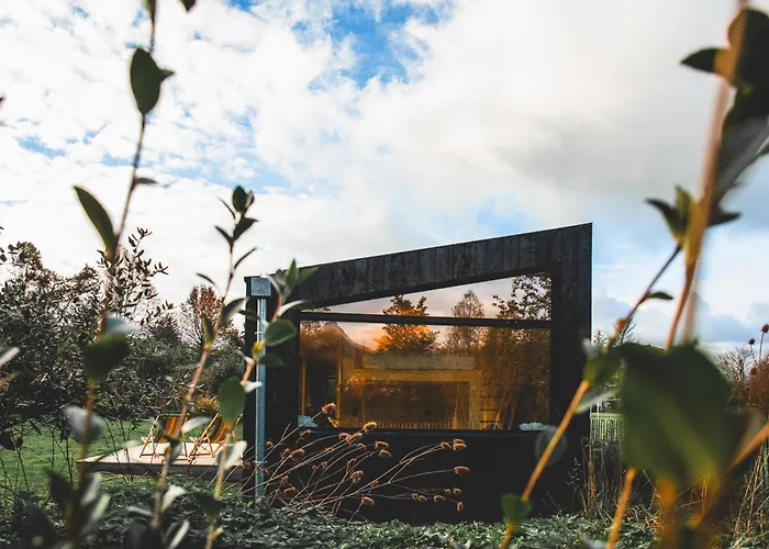 Kokoni K-banes Posees * ארט